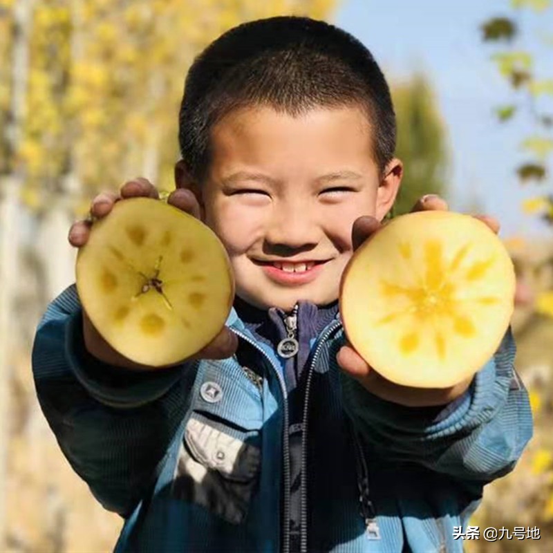 想做供应链怎么入手,想做供应链