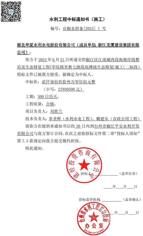 中国招标投标网官网中标公告查询