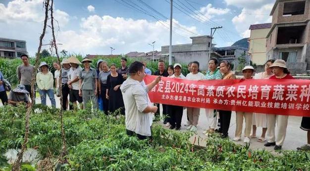 高素质农民培育服务项目招标公告