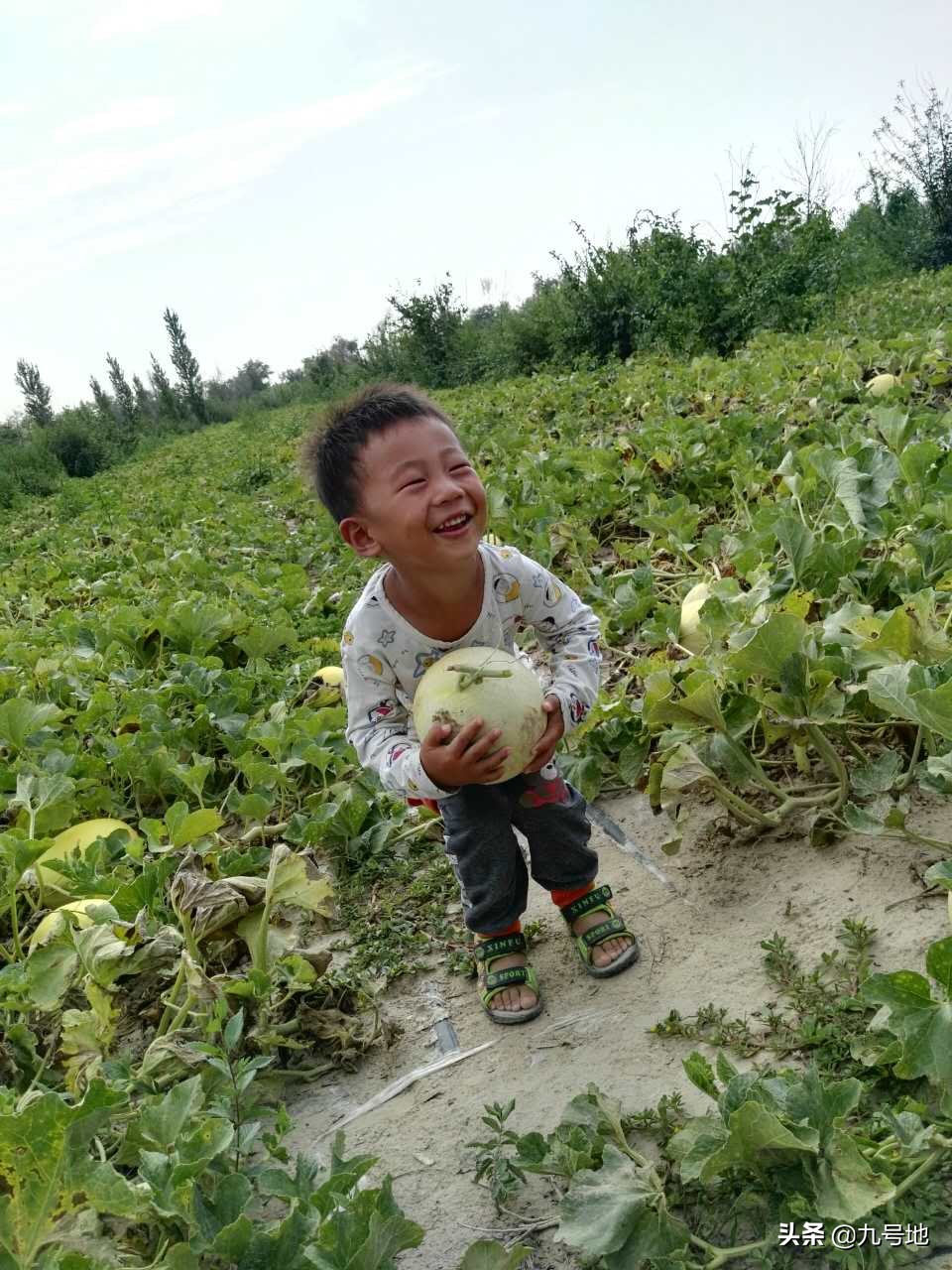 供应链怎么合作弄代销分账  供应链怎么合作弄代销分账