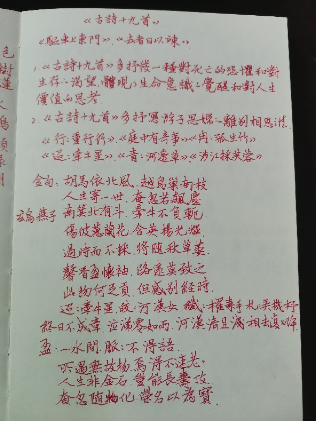 中招国际招标采购平台官网首页查询  中招国际招标采购平台官网首页查询