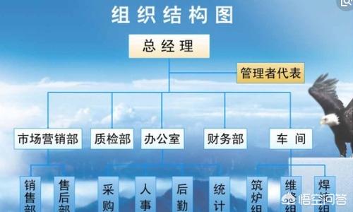 公司各部门组织架构图哪个部门制定  公司各部门组织架构图哪个部门制定