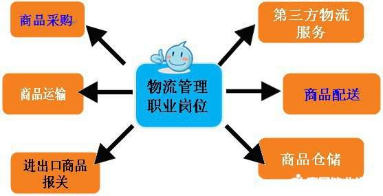 供应链全链路管理办法最新_行云集团是做什么的