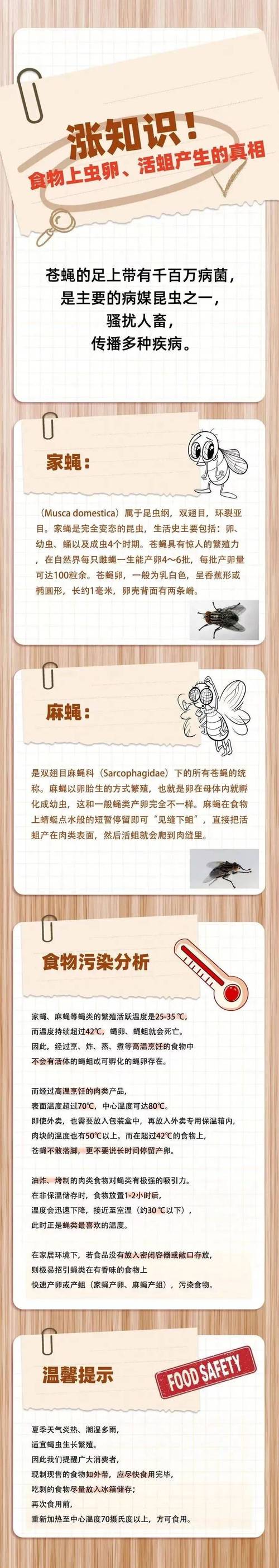 香港澳门 第30页